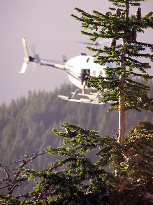 Sightseeing helicopter at Grouse Mountain