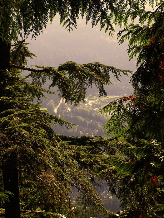 View from the Grouse Grind on Grouse Mountain in Vancouver