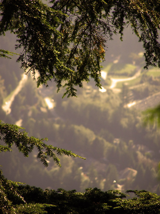 View from the Grouse Grind on Grouse Mountain in Vancouver