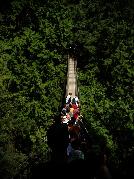 Suspension bridge at Lynn Canyon on Vancouver's North Shore