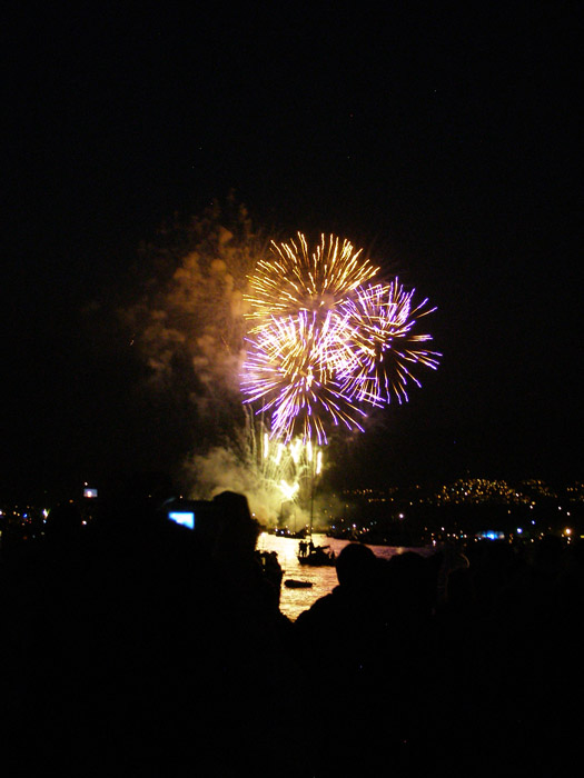 Fireworks over English Bay in Vancouver