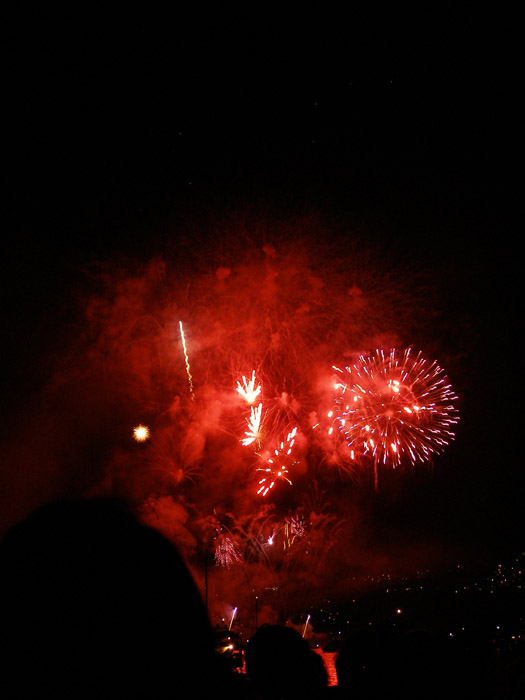 Fireworks over English Bay in Vancouver