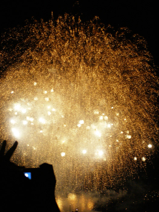 Fireworks over English Bay in Vancouver