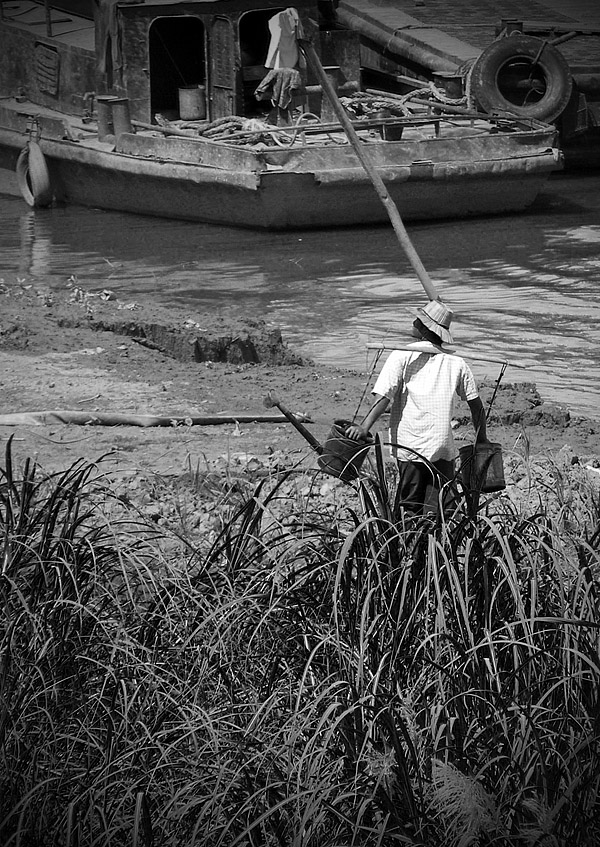 Farmer watering plants at the water's edge