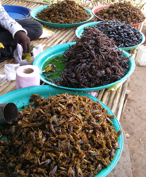 Deep-fried insects at a Cambodian bus stop