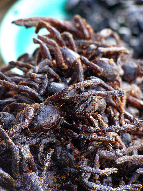 Deep-fried tarantulas