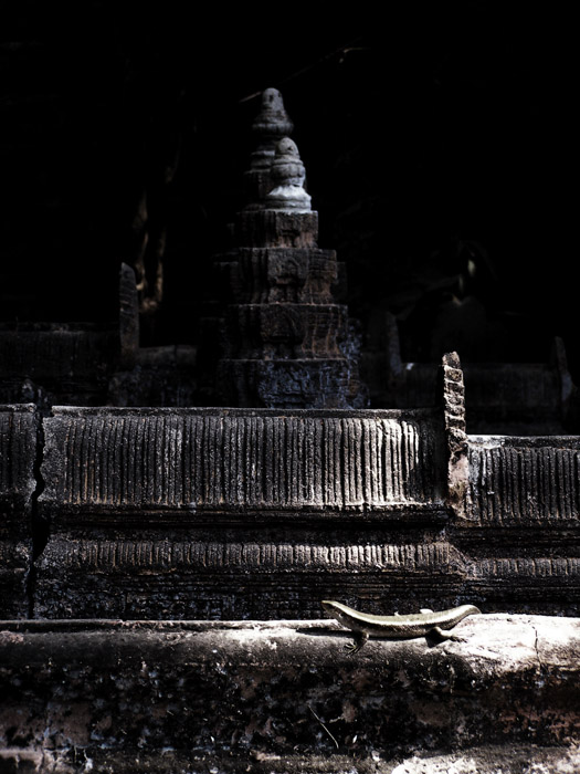Lizard sunbathing on an Angkor Wat miniature sculpture