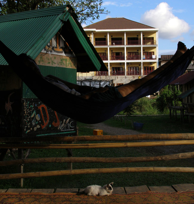 V sleeping in a hammock suspended over a kitten