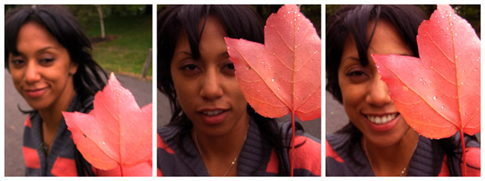 Girl & leaf triptych